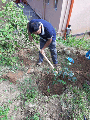 2020 - World Environment Day